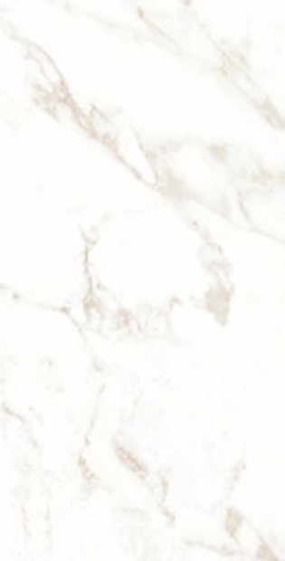 RCT Vietnam White Marble Matt &mdash; Ceramic Collections 60x120cm tile