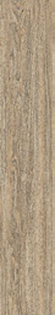 Sylva Vein Matt &mdash; Red Body Wood Series 20X120CM tile