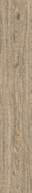 Sylva Vein Matt &mdash; Red Body Wood Series 20X120CM tile