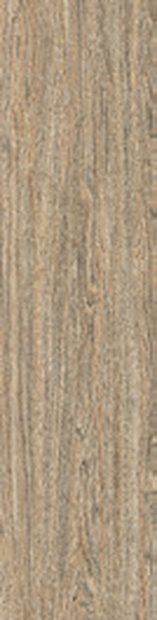 Sylva Vein Matt &mdash; Red Body Wood Series 30x120cm tile