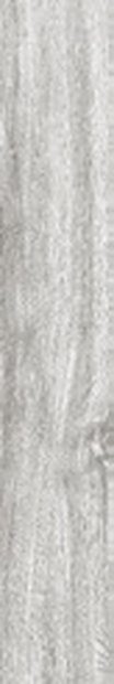 Silver Oak Matt &mdash; Vitrified Body Wood Series 20x120cm tile