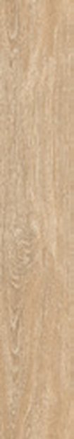 SPruce Wood Matt &mdash; Vitrified Body Wood Series 20x120cm tile