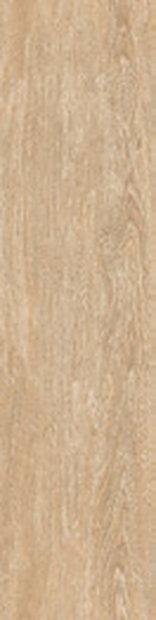 SPruce Wood Matt &mdash; Vitrified Body Wood Series 30x120cm tile